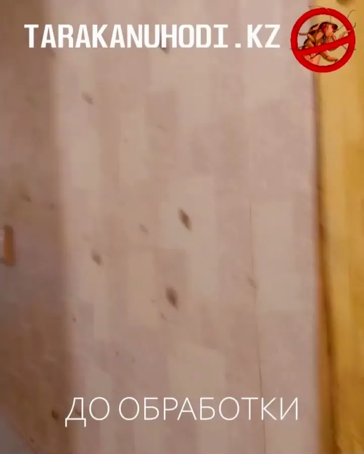 Обработка от тараканов