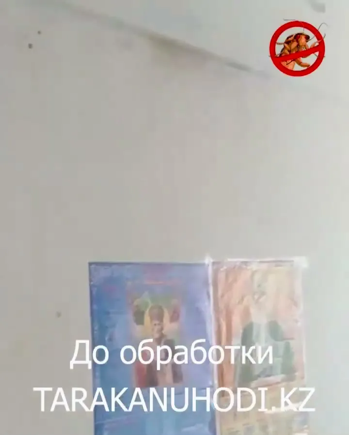 Обработка от тараканов