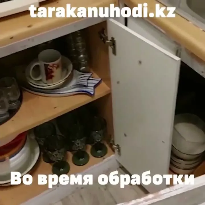 Обработка от тараканов